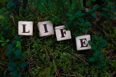 Life word on wood blocks with nature, forest, moss background. Greenの写真素材