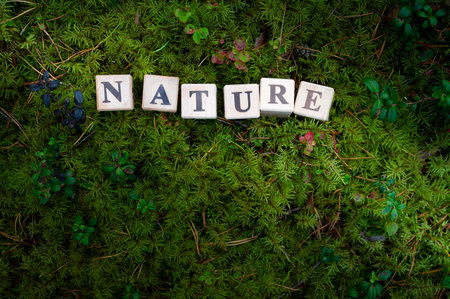 Word NURTURE made with wood blocks on a green, moss, forest background. Greenの写真素材
