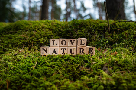 Word NURTURE made with wood blocks on a green, moss, forest background. Greenの写真素材
