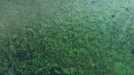 Abstract. Top view. Reflection of the sun and calm waves blue and green. Real top view of the ocean from a drone. Calmの写真素材