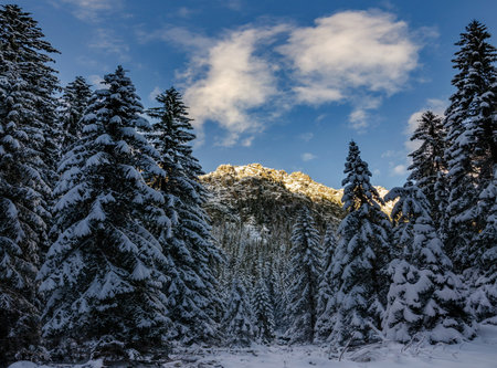 Panoramic Winter. International Mountain Day. Global Climbing Day. Winter solstice. Hiking trail and snow mountain nature background. Panoramic view of the mountains. Coldの写真素材