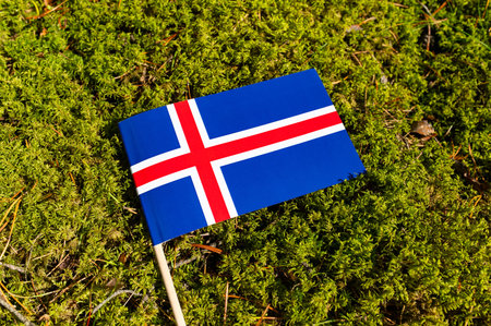 Ecological concept. On the sidewalk in green moss, paving slabs with the image of the flag of Iceland.の写真素材