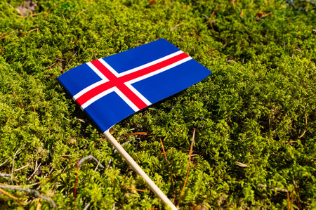 Ecological concept. On the sidewalk in green moss, paving slabs with the image of the flag of Iceland.の写真素材