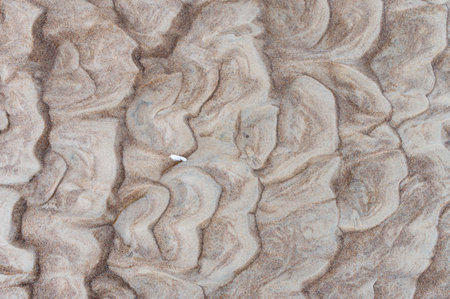Wavy sand texture and small white feather.の写真素材