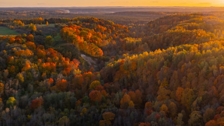 Autumnal Equinox Northern Hemisphere. Autumnal Equinox Southern Hemisphere. Autumn Foliage with Brilliant Red and Orange Leaves - Aerial Shot in Neris regioninis parkas Lithuania 20の写真素材