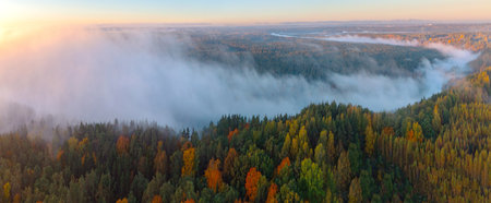 Autumnal Equinox. Breathtaking Panorama Aerial view of the Neris Regional Park along Neris River in Lithuania Foggy Colorful Autumn Morning Weather. Top aerial viewの写真素材