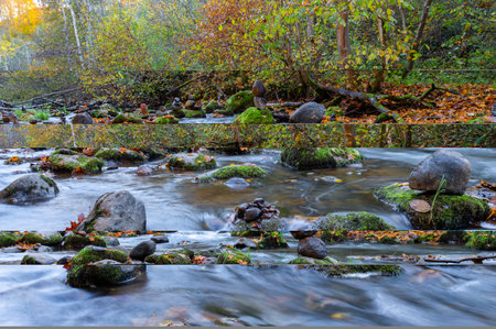 Autumnal equinox. International Day of Action for Rivers. Autumn river in autumn forest. River in...