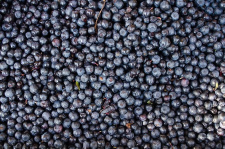 Background of fresh ripe blueberriesの写真素材