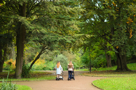 Two happy mothers with their baby strollers walking together in park. Prams for newborns. Motherhoodの写真素材