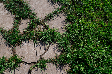 texture of broken concrete overgrown with green grassの写真素材