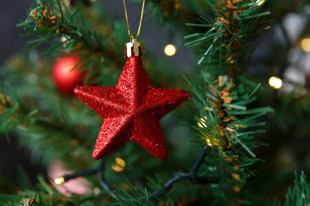 Christmas card and background. Christmas red toy in the form of a star hanging on a branch against...