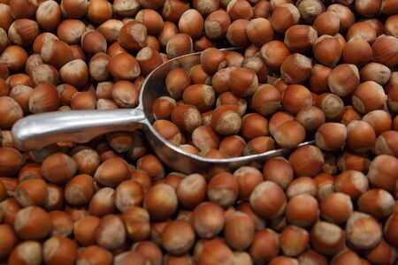 metal scoop in a bag with hazelnuts. Hazelnut food backgroundの写真素材