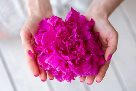 young girl holds a pink peony bud in her palms. Greeting card