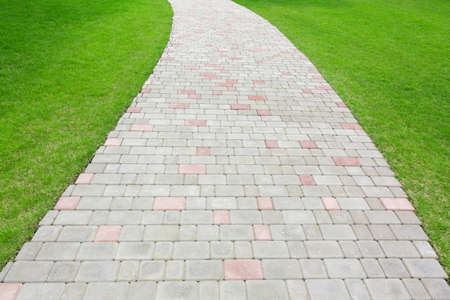 Natural background. The road is paved with cobblestones among the green grass lawn. Alley in the backyardの写真素材