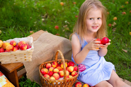 Portrait of children in an apple orchard. Little girl in blue striped dress, sits next to a wicker basket with a harvest of apples and holds apples in her hands. Carefree childhood, happy childの写真素材