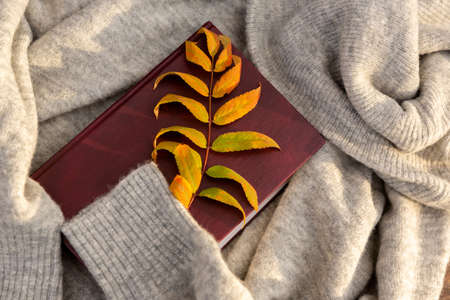 an autumn yellow sheet and book lie on warm knitted sweater, in rays of sunset. Autumn background or...