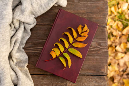 autumn yellow leaves and book lie on rough boards of wooden bench in park. Autumn background or...