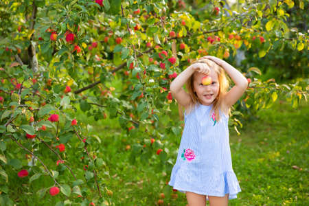 Portrait of children in an apple orchard. Little girl in blue striped dress, holding apples in her hands. Carefree childhood, happy childの写真素材