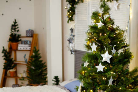 Christmas tree stands in room decorated for holiday. New Year and Christmas backgroundの写真素材