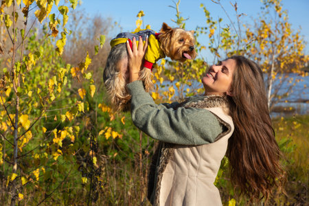 portrait of a woman with a Yorkshire terrier dog in her arms in the autumn forestの写真素材