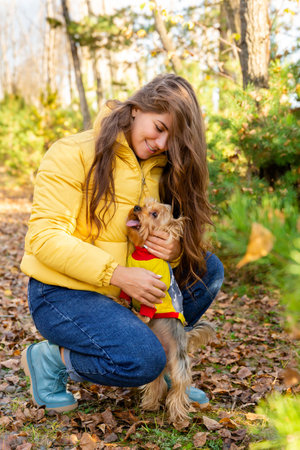 portrait of a woman with a Yorkshire terrier dog in her arms in the autumn forestの写真素材