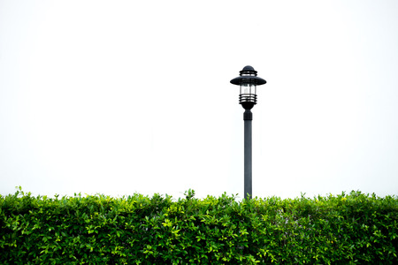 Isolated garden lamp and plant bushの写真素材