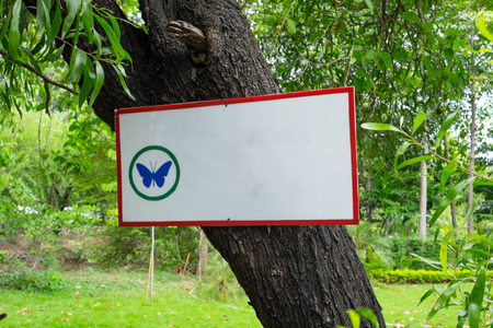 Blank white signboard with butterfly symbol attached on a treeの写真素材