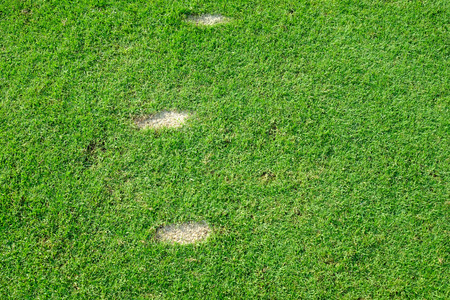 three divot on teeing groundの写真素材