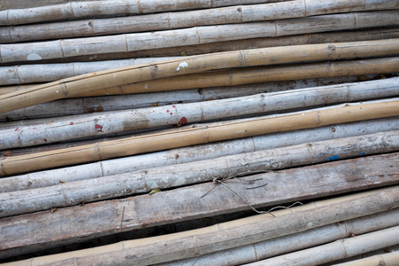 Bamboo path in the park as backgroundの写真素材