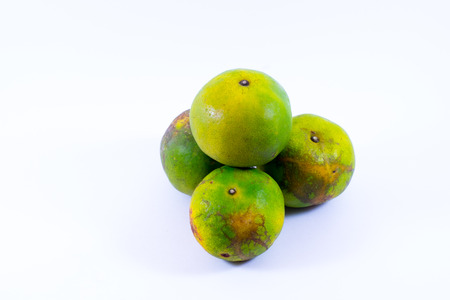 Isolated cheap local tangerine in Thailandの写真素材