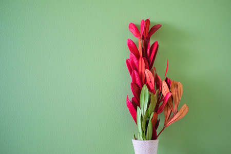 Still life fake green and red leaves in white pot on table and green wall background for decoration with copyspace for text.の写真素材
