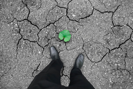 Businessman in black shoes standing on dry cracked land with green leaf of hope. Business concept of opportunity, hope, success.の写真素材