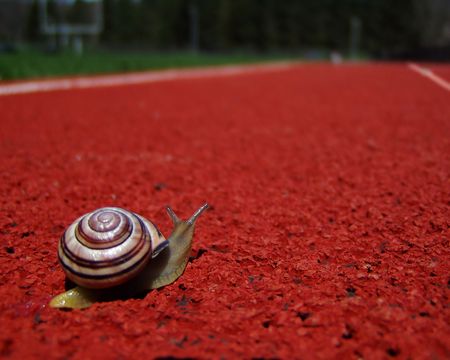 I have pet snails - lots of them! This one decided he wanted to run track when he got to high school. We took him out for a lesson in perspective.の写真素材
