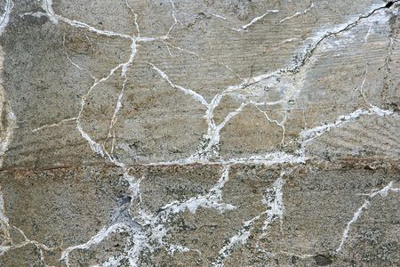 veins and stone in an abstract background