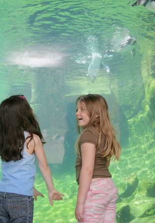 small female children talking near the aquariumの写真素材