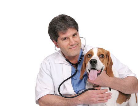 one adult male veterinarian examining a beagle and giving a checkup with stethoscope over whiteの写真素材