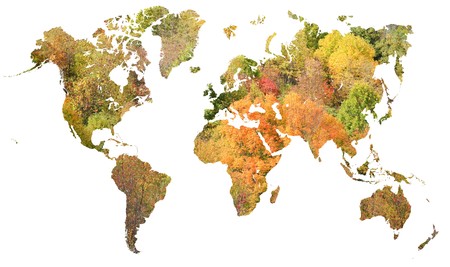 red and orange graphic with trees and colorful leaves on a world map of Earth over white