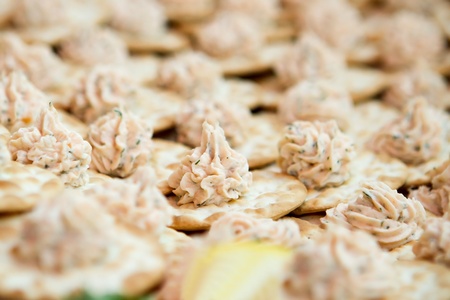 lobster seafood dip on a cracker. shallow dofの写真素材