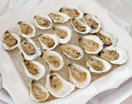 group of oysters on a half shell