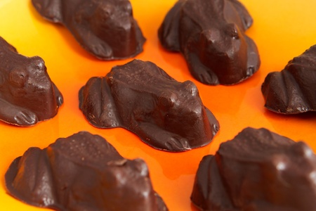 small group of chocolate frogs on a colorful orange plateの写真素材