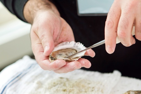 guy shucking an oyster with his handsの写真素材