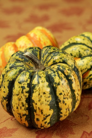 tiger striped pumpkin on a fall leaf backgroundの写真素材