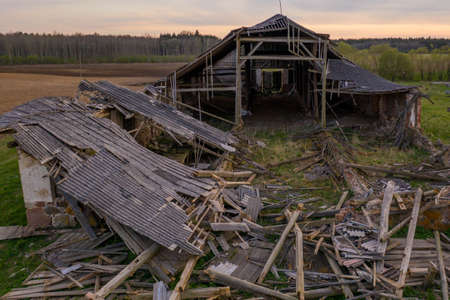 Drone photography of flock of cranes in the middle of agricultural field during summer sunsetの写真素材