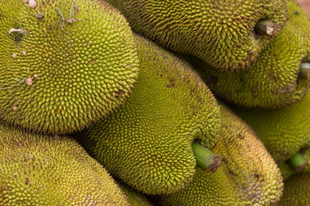 Jackfruit at a fruit stall on the highway の写真素材
