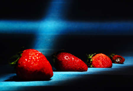 strawberries on a conceptual black background, represent the cycle of life the first is fresh and the last rotten, there are rays of light,の写真素材