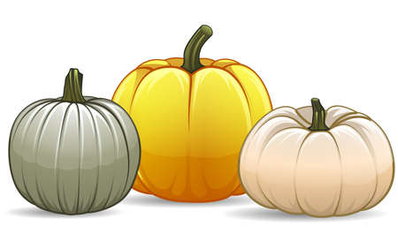Vector shiny Thanksgiving pumpkins with green stemのイラスト素材