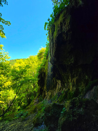 Moss ridden rocks at Sipote Waterfall in the forest with bright green branch trees and mountain in the distance. Salciua, Alba, Romaniaの写真素材