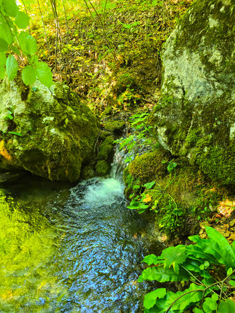Beautiful forest water stream flowing through moss rocks, foliage and leaves on top of Sipote...