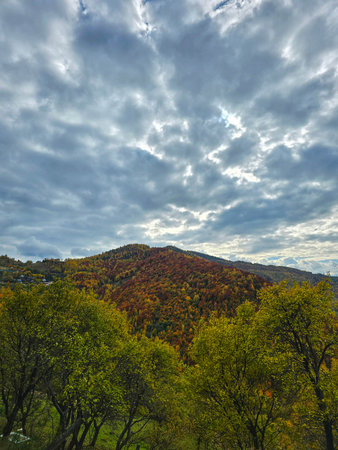 Beautiful autumn view over colorful forest mountain with green, yellow and red trees on a cloudy...