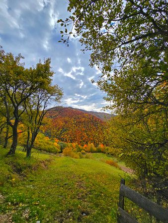Autumn landscape in the mountains. Colorful forest in autumn.の写真素材